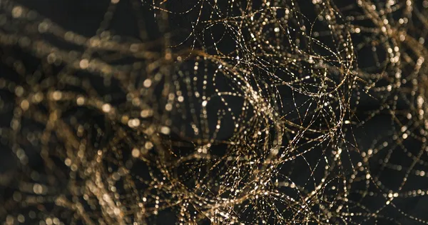 Image liée à philips speechlive health : l'ia au service de la documentation clinique